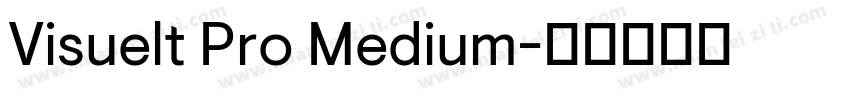 Visuelt Pro Medium字体转换